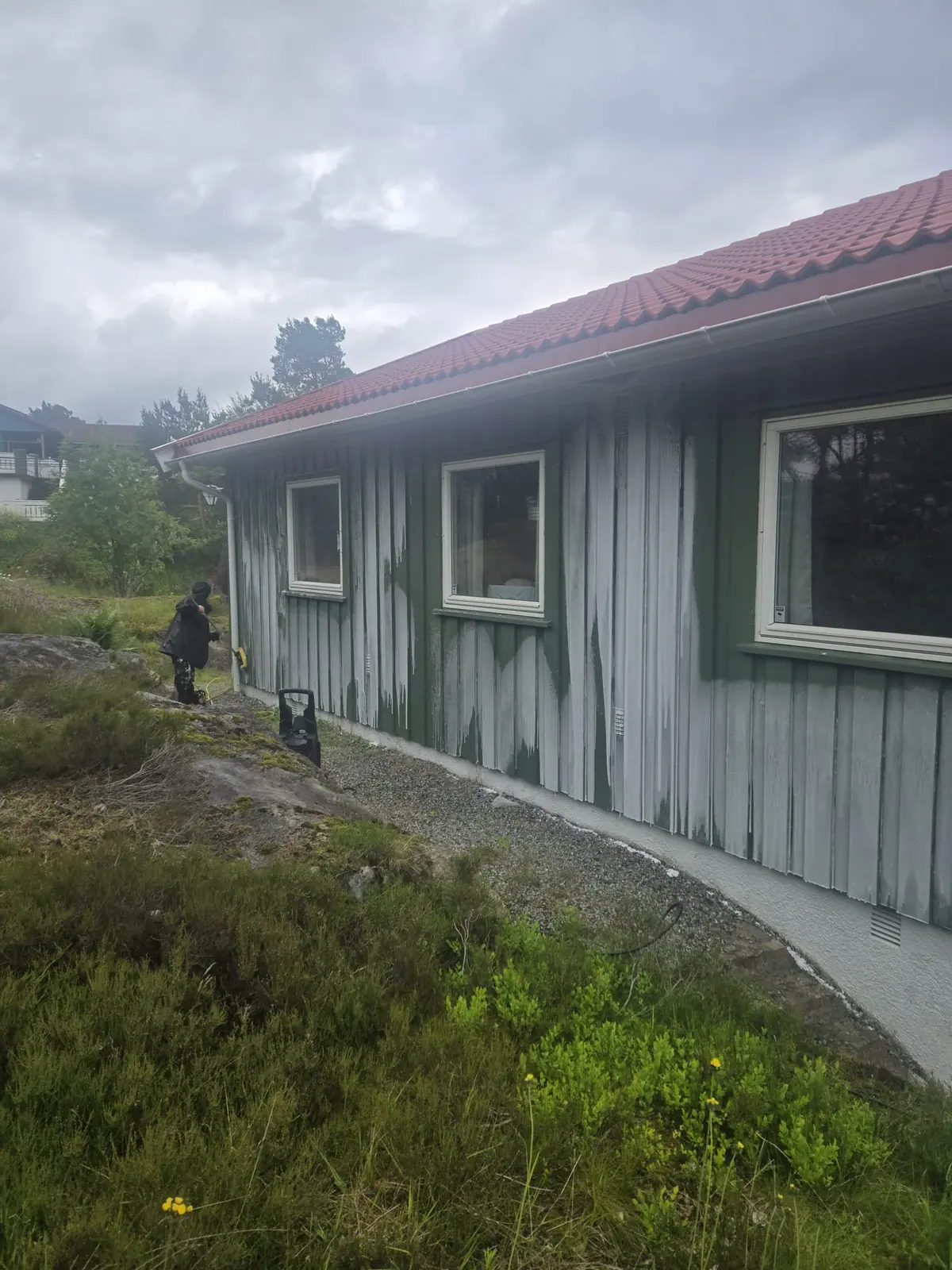 Forvitret kledning med begroing før fasadevask