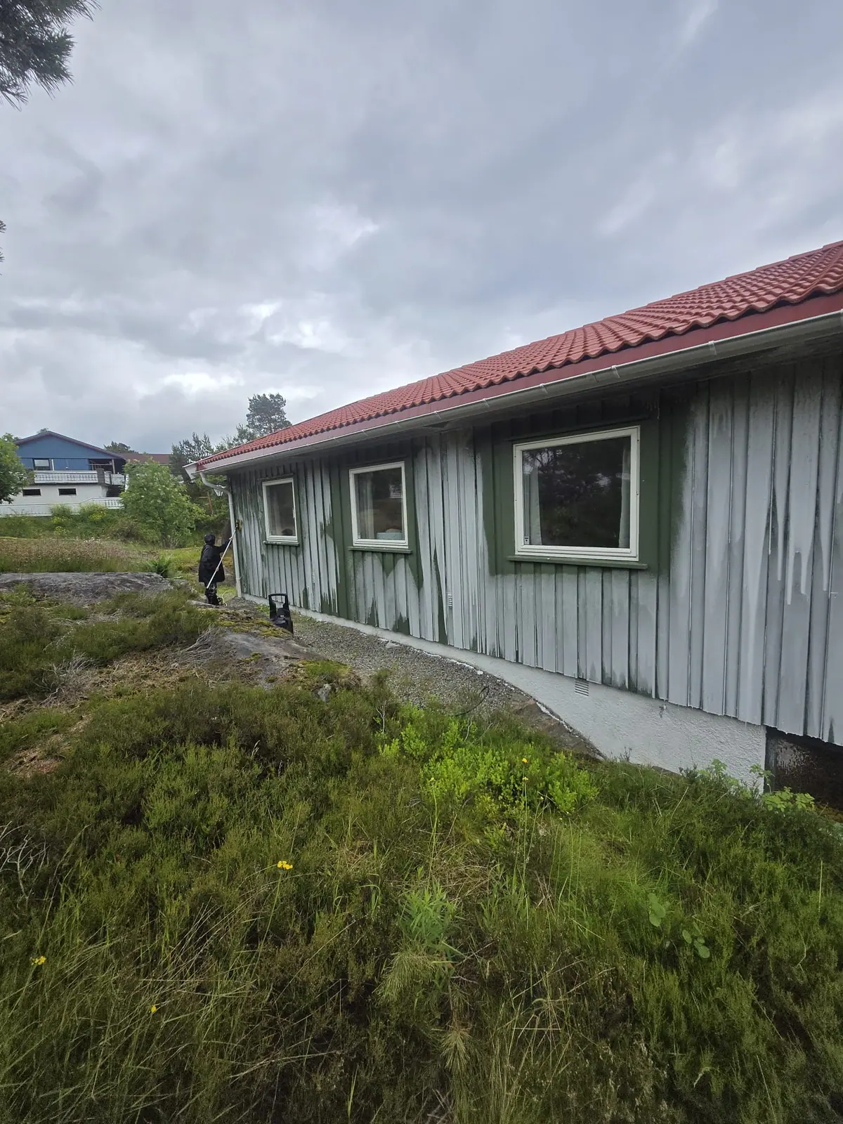 Kledning med grønske før fasadevask og maling